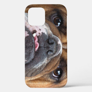 イングリッシュブルドッグ装飾用クッション iPhone 12 PROケース