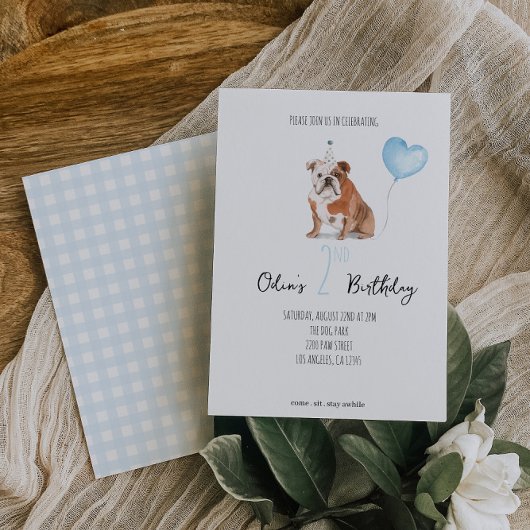 イングリッシュブルドッグ誕生日招待状 – 少年 招待状