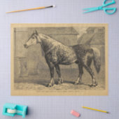 イングリッシュホースエフエメラデクページヴィンテージ 薄葉紙 (クラフト)