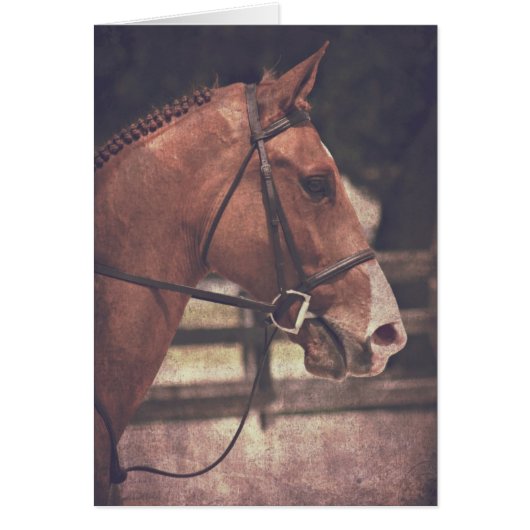 イングリッシュホース (正面)