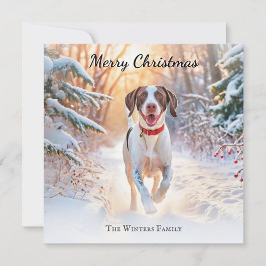 イングリッシュポインターの犬 雪の中を歩く クリスマス (正面)