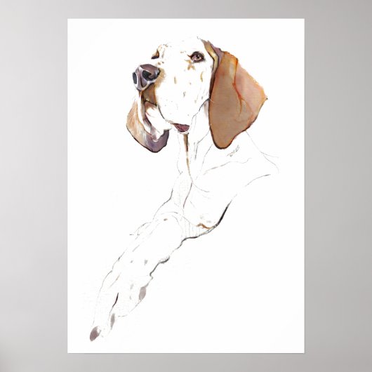 イングリッシュポインター 壁画 ポスター 犬 アートプリント (正面)