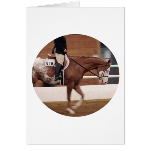 イングリッシュライディング (正面)