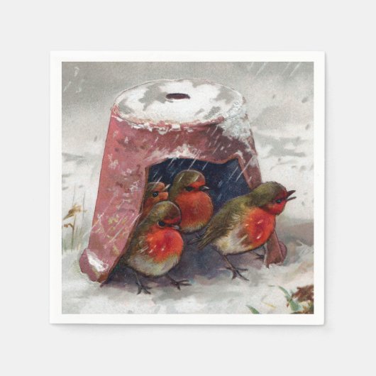 イングリッシュロビンス用の植木鉢シェルター スタンダードカクテルナプキン (正面)