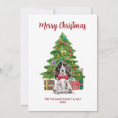 イングリッシュ スパニエル 犬 ファミリー クリスマス (正面)