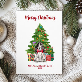 イングリッシュ スパニエル 犬 ファミリー クリスマス