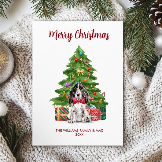 イングリッシュ スパニエル 犬 ファミリー クリスマス