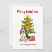イングリッシュ スパニエル 犬 家族 クリスマス (正面)