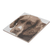 イングリッシュ・スリンガー タイル (側面)