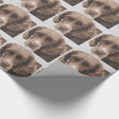 イングリッシュ・スリンガー ラッピングペーパー (角)