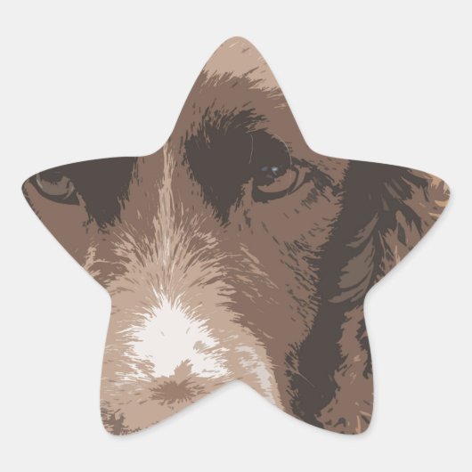 イングリッシュ・スリンガー 星シール (正面)