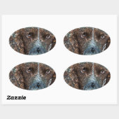 イングリッシュ・スリンガー 楕円形シール (シート)