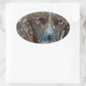 イングリッシュ・スリンガー 楕円形シール (バッグ)