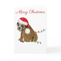 イングリッシュ・ブルドッグの子犬のクリスマス
