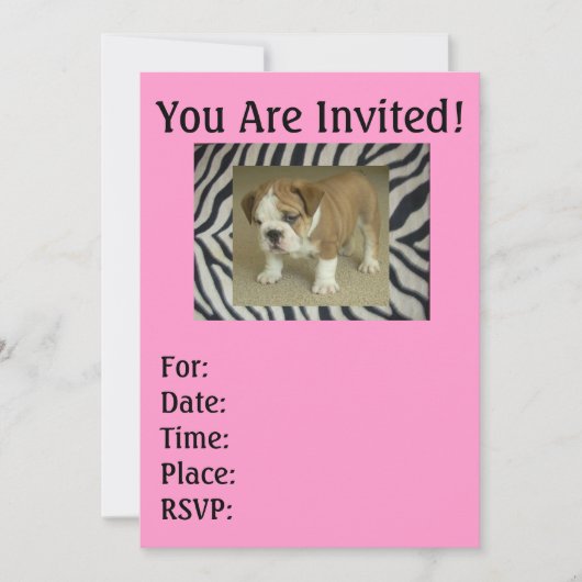 イングリッシュ・ブルドッグの子犬 ゼブラ & ピンクの招待状 招待状 (正面)