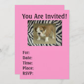 イングリッシュ・ブルドッグの子犬 ゼブラ & ピンクの招待状 招待状 (正面/裏面)
