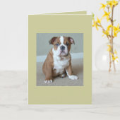 イングリッシュ ブルドッグ 子犬 カード (黄色い花)