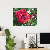 イングリッドBergmanハイブリッドティーバラと芽036 ポスター (ホームオフィス)