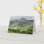 イング素晴らしランド,レイク地区,ラングデールバレー カード (黄色い花)