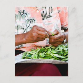 インゲンマメの女性 ポストカード