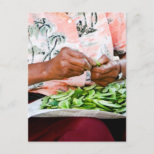 インゲンマメの女性 ポストカード (正面)