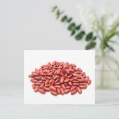 インゲンマメ ポストカード (スタンド正面)