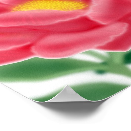 インコと牡丹のポスター ポスター (角)