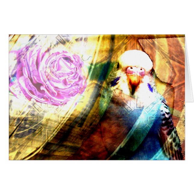 インコのばら色のコラージュ-カード (正面横)