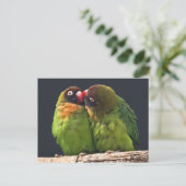 インコのキス ポストカード (スタンド正面)