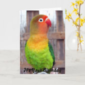 インコのバースデー・カード カード (黄色い花)
