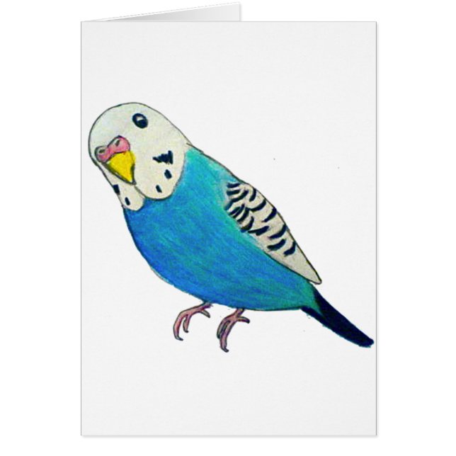 インコの絵 (正面)