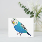 インコの絵 ポストカード (スタンド正面)