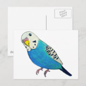 インコの絵 ポストカード (正面/裏面)