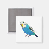 インコの絵 マグネット (正面/裏面)