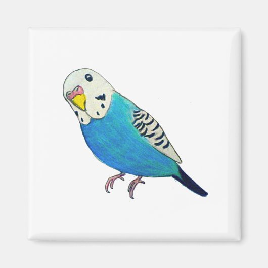 インコの絵 マグネット (正面)