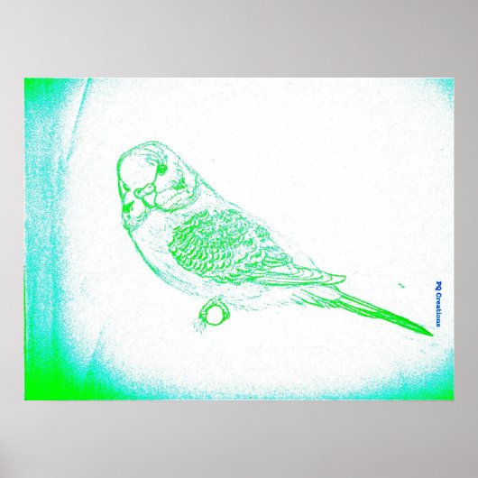 インコの肖像画 ポスター (正面)