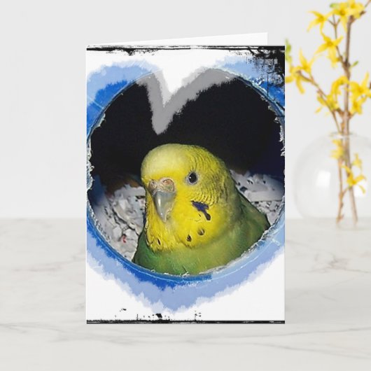 インコの鳥のハートの挨拶状 カード (黄色い花)