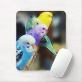 インコのmousepad マウスパッド (マウス)