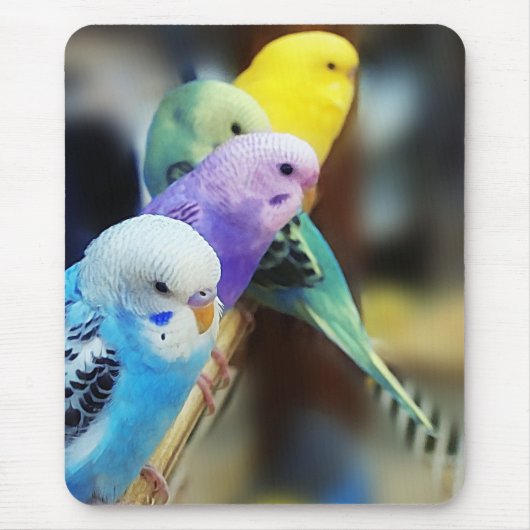 インコのmousepad マウスパッド (正面)