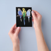 インコ インコ グリッター チラシ (手)