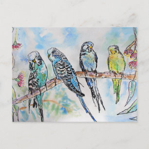インコ インコ 水彩画 鳥のカード ポストカード