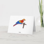 インコ カード (裏面)