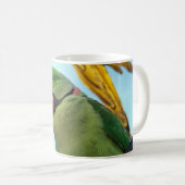 インコ コーヒーマグカップ (正面右)