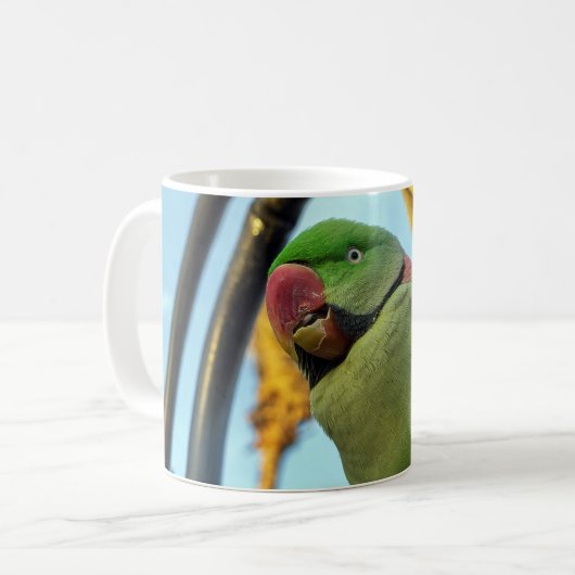 インコ コーヒーマグカップ (正面左)