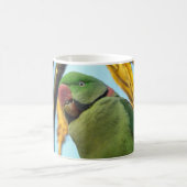 インコ コーヒーマグカップ (中央)
