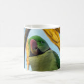 インコ コーヒーマグカップ (中央)