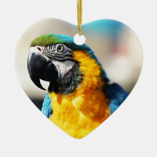 インコ セラミックオーナメント (正面)