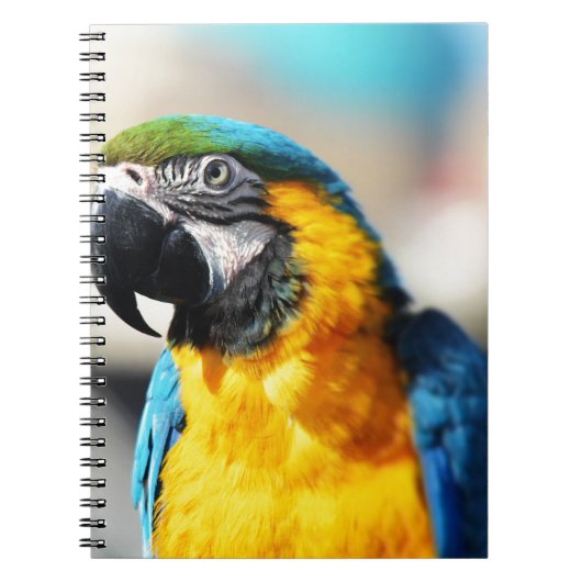 インコ ノートブック (正面)