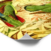 インコ ポスター (角)