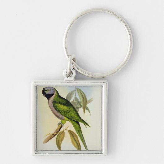 インコ: Palaeornis Derbianus、c.1850 キーホルダー (正面)
